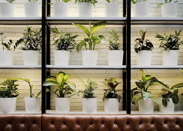Exploring the Best Accommodation in Barcelona for Every Traveler